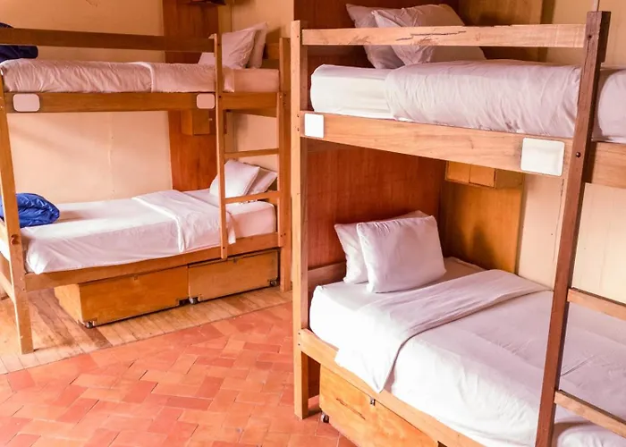 Loki Hostel *