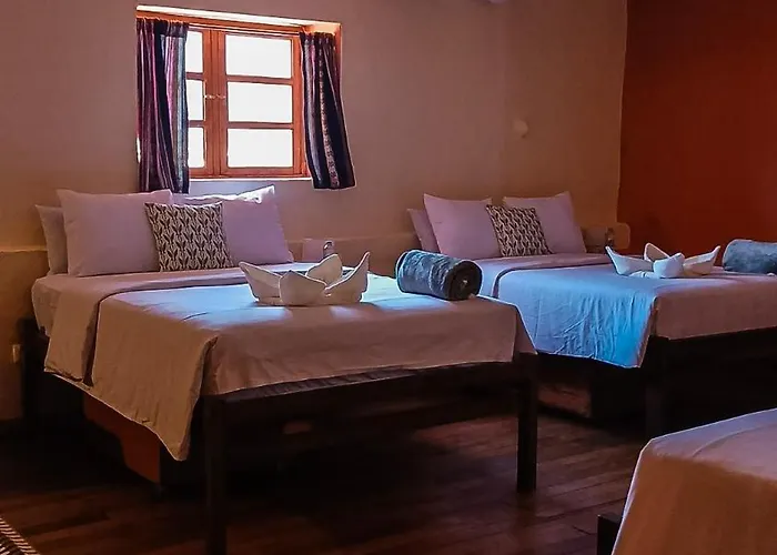 Loki Hostel Cusco
