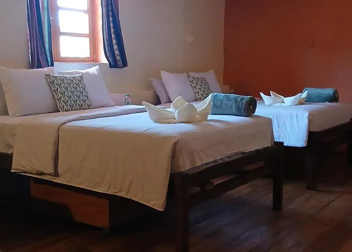 Loki Hostel *