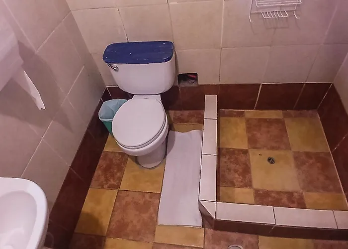 Loki Hostel *